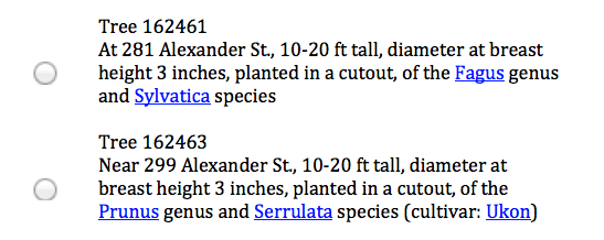 tree-language-parsed